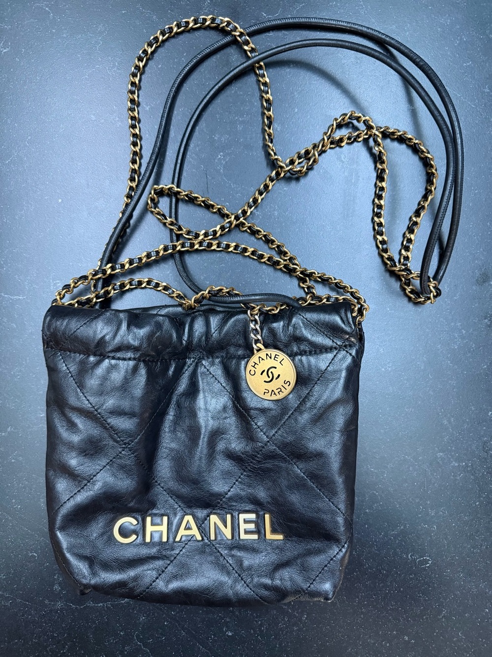 CHANEL 22 Mini Hobo, purchased in 2025